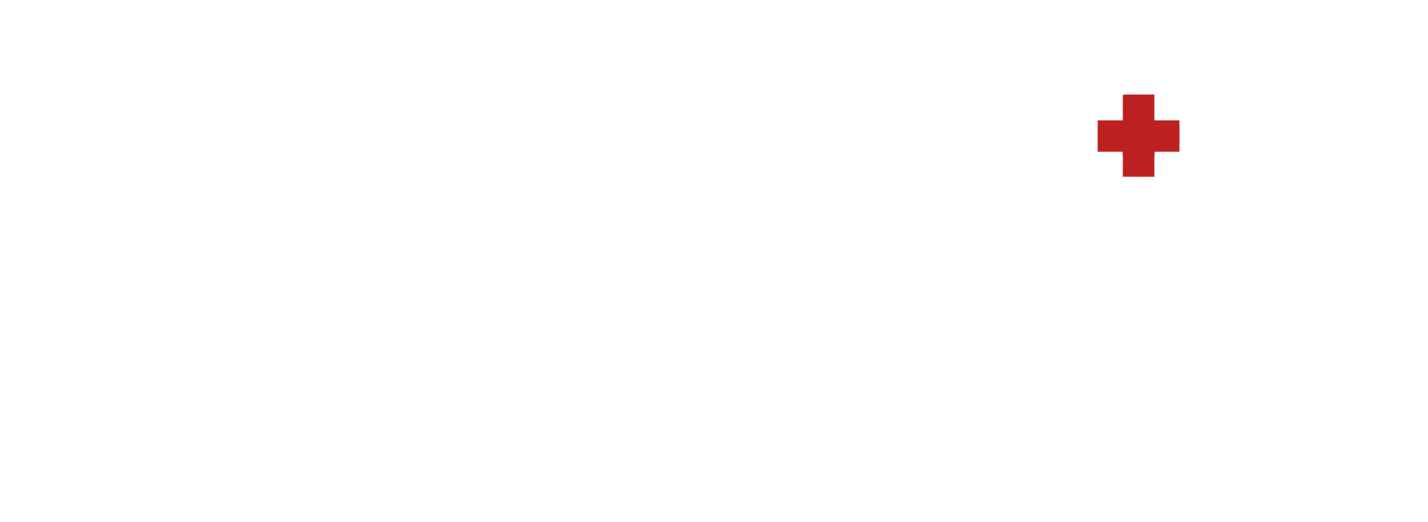 dark logo