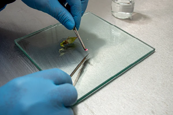 Monmouth Scientific | Case Study | National Trust | Class 2 Biological Safety Cabinet