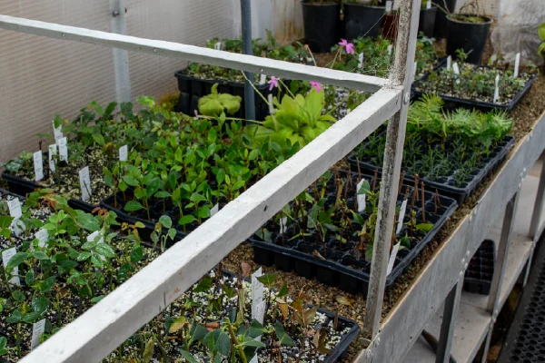 Monmouth Scientific | Case Study | National Trust | Class 2 Biological Safety Cabinet